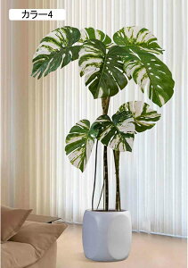 Xe lHϗtA ^  J[3  CeA i` RȎp ItBXΉ Xܑ  Ƃi JXj JƏj Ԏd؂ sv 130CM v