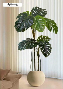 Xe lHϗtA ^  J[3  CeA i` RȎp ItBXΉ Xܑ  Ƃi JXj JƏj Ԏd؂ sv 130CM v