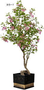 lHϗtA  A ^ CeA @ׂȗt   炵ɎR rO tFCNO[ { i` u  Vzj 160CM JƏj N