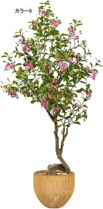 lHϗtA  A ^ CeA @ׂȗt   炵ɎR rO tFCNO[ { i` u  Vzj 160CM JƏj N