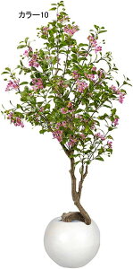 lHϗtA  A ^ CeA @ׂȗt   炵ɎR rO tFCNO[ { i` u  Vzj 160CM JƏj N