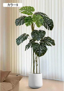 tFCNO[ Xe p 190CM  J[4 Vv ItBX ^ lH~ R[i[Xy[X CeAO[ zer[ X܃fBXvC N ۑ Mъϗt