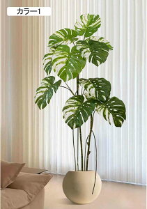 tFCNO[ Xe p 190CM  J[4 Vv ItBX ^ lH~ R[i[Xy[X CeAO[ zer[ X܃fBXvC N ۑ Mъϗt