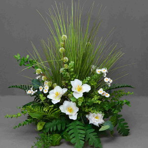  t[AWg { lHϗtA VNt[ F tFCNt[ J[7 Iȑ R͋̕C ItBX   O CeA i| A{g