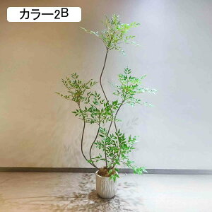 ie  tFCNO[ 160CM ^  { ͂Ȃ ֐  z[ ItBX JX J Vzj bȂ sv J[4 RȎp ~͐A 