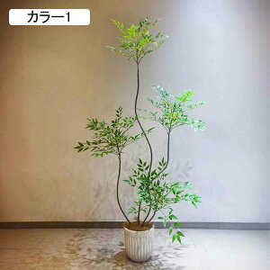 ie  tFCNO[ 160CM ^  { ͂Ȃ ֐  z[ ItBX JX J Vzj bȂ sv J[4 RȎp ~͐A 