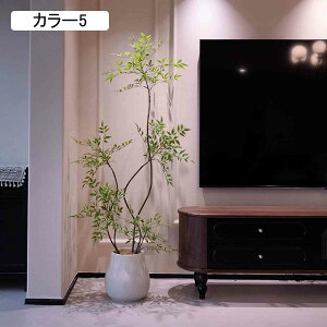 ie  tFCNO[ 160CM ^  { ͂Ȃ ֐  z[ ItBX JX J Vzj bȂ sv J[4 RȎp ~͐A 