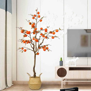 tFCNO[  CeA 100CM  lHϗtA  t tFCNA CeAG p ΂OϐlHϗtA tFCNO[ ^ A CeA bh