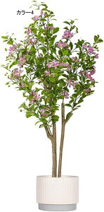 lHϗtA ^ CeA t N X^hA ^   { J[9  ֏ i~ sv X^h 140CM i` Adグ R