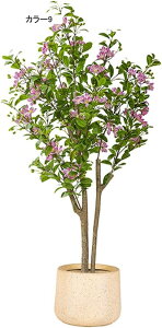 lHϗtA ^ CeA t N X^hA ^   { J[9  ֏ i~ sv X^h 140CM i` Adグ R