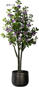 lHϗtA ^ CeA t N X^hA ^   { J[9  ֏ i~ sv X^h 140CM i` Adグ R