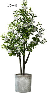 lHϗtA ^ CeA t N X^hA ^   { J[9  ֏ i~ sv X^h 140CM i` Adグ R