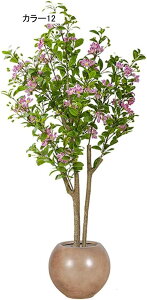 lHϗtA ^ CeA t N X^hA ^   { J[9  ֏ i~ sv X^h 140CM i` Adグ R