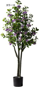 lHϗtA ^ CeA t N X^hA ^   { J[9  ֏ i~ sv X^h 140CM i` Adグ R