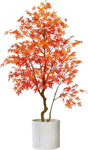 ^  lHϗtA CeA { ^i tFCNO[  rO Xܕܑ Cxg RȎ ͂Ȃ R[i[p 250CM ͂Ȃ fBXvC g