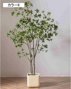 ^ ie tFCNO[  lHA t A  rO ItBX rO J[2 X fBXvC ͂Ȃ lHϗtA X^h^Cv CeA 180