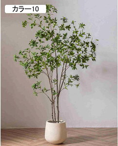 ^ ie tFCNO[  lHA t A  rO ItBX rO J[2 X fBXvC ͂Ȃ lHϗtA X^h^Cv CeA 180