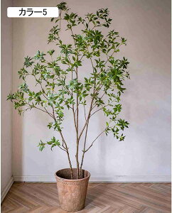 ^ ie tFCNO[  lHA t A  rO ItBX rO J[2 X fBXvC ͂Ȃ lHϗtA X^h^Cv CeA 180