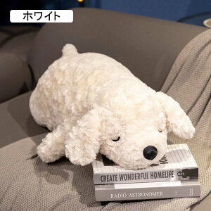  ʂ \t@[w  ɗD  _炩 傫 Ck  ʂ NbV 75cm ܂ o^Cf YQ uE  Q rO 蕨