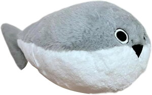 ʂ TJooXsX ʔ ÑE  킢 Cm NbV 傫 Gǂ xbh[ 炩 w Q   A YQ D 80