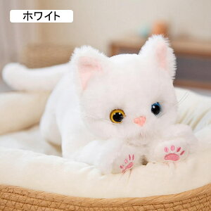 ʂ L lR L L A  QNbV   킢 _炩  50cm FB ޏ q E N̒aLÕv[g  YQ