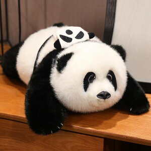 p_ ʂ ܂  p_ ʂ Qp NbV ܂ gі v[g  55cm 傫 ΂ ʔ X^C3 GObY   e