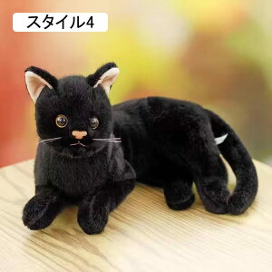  ʂ g ʂ L ʂ 킢ǂ L  ̎q a Mtg lR ӂӂxr[h[q̂ X^C6   lC 􂦂 CeA 