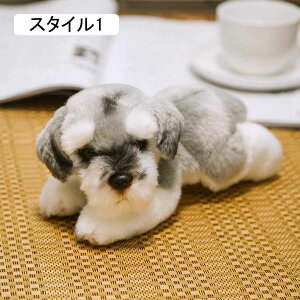 ViEU[  A Ԃ  ̎q ֎q  ʂ   Ck  ʂ  Ck q \t@ NbV X^C2 20x8x9cm ʂ  D