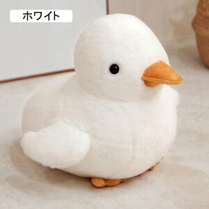 ʂ  Q 蕨  Aq 傫 ₳G ӂӂ  v[g 30cm Mtg oYj a Aq zCg _bN   QNbV