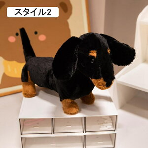  ʂ lRD  ʔ lR u X  gC CeA YQ ObY Vj ӂӂ L  킢 X^C4  v[g 27cm 