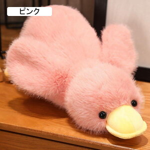 Aq ʂ 傫   Q _bN   Aqʂ  ʂ  ӂӂ AQ̗Fl j 􂦂 p[v LbY NX