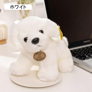  D GG S[f v[g  ʂ   \tg Gӂӂʂ  GG ӂӂ 킢  _炩 ӂӂ킨  