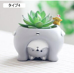 K[fI[ig L  A|bg [[{bNXp ̏ uK[fIuWF vcpe ϗtAAؔ  F v[g Mtg 蕨 Ce