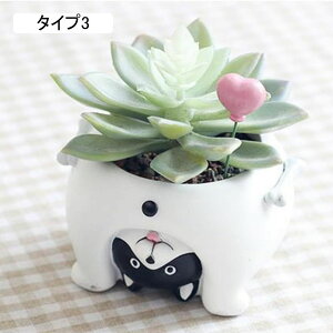 K[fI[ig L  A|bg [[{bNXp ̏ uK[fIuWF vcpe ϗtAAؔ  F v[g Mtg 蕨 Ce