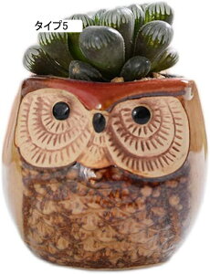 K[fI[ig 2  ^Cv5 G F*2 ̒u | ϗtA|bg ~jAKp ^  T{e   픫 Aؔ T{e|bg IuWF K[f