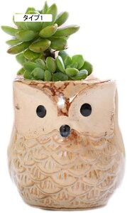 K[fI[ig 2  ^Cv5 G F*2 ̒u | ϗtA|bg ~jAKp ^  T{e   픫 Aؔ T{e|bg IuWF K[f