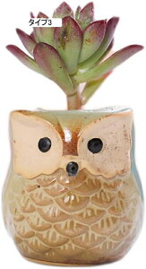 K[fI[ig 2  ^Cv5 G F*2 ̒u | ϗtA|bg ~jAKp ^  T{e   픫 Aؔ T{e|bg IuWF K[f