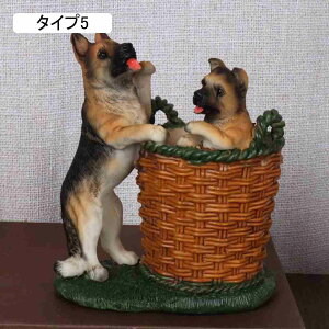 [P[X 낢u M pi [  ^Cv4 |W  ̎qv[g wZ yX^h F X^h [ y M tBMA