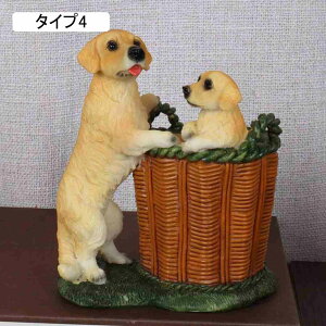 [P[X 낢u M pi [  ^Cv4 |W  ̎qv[g wZ yX^h F X^h [ y M tBMA