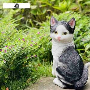 L K[fI[ig K[fjOG ɒu̒u I[ig ObY 킢L   {   ϋv h CeAG   | 