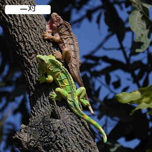 ɒu̒u K[fI[ig gJQ K[fjOG  {   ϋv h O  CeA fR[V AEghA G |pi v[