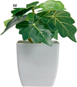 tFCNO[ ~j |bg CeA A 킢  ϗtA lHA ϗt   A Vv ItBX  ͂Ȃ sv  FBɑ A 