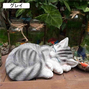 IuWF K[fI[ig QĂL K[fu ɒu̒u K[fjO I[ig 킢˂ h ϋv   CeAG |pi i 