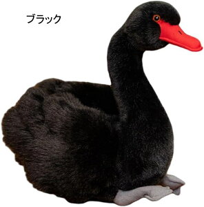  D  Aq A 킢 ͂傤 ܂ n ӂӂ   Mtg 蕨 _炩 24cm NbV w  zCg NbV