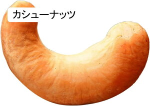 N~ ʂ ibc 3D D A zc { Hו  킢   QNbV _炩 Dw q̂߂̃Mtg N~  YQ 