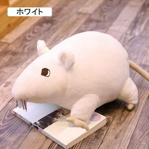  lY~ l A ʂ NbV 킢 􂦂    Q  ӂӂ _炩  xbh[ v[g Mtg X O[ 60cm