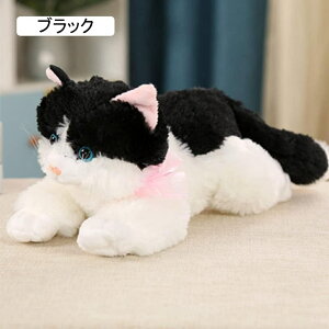  L lR   \tggC { NbV  q X A ӂӂ a Ԃ j ̎q  O[ 40cm _炩 j