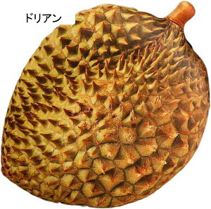 S ʂ A  傫 { ʕ  킢 NbV  _炩 Q v[g Mtg YQ  a  V~[V F