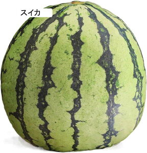 S ʂ A  傫 { ʕ  킢 NbV  _炩 Q v[g Mtg YQ  a  V~[V F