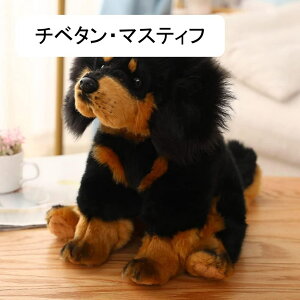 ʂ  T  A X {  q l`  ӂӂ v[g ܂ n ˂ނ˂ 38cm ӂӂ  NbV CG[ES[f